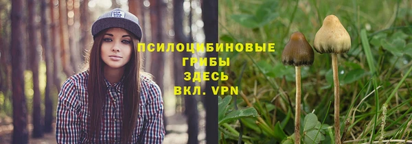 трава Покачи