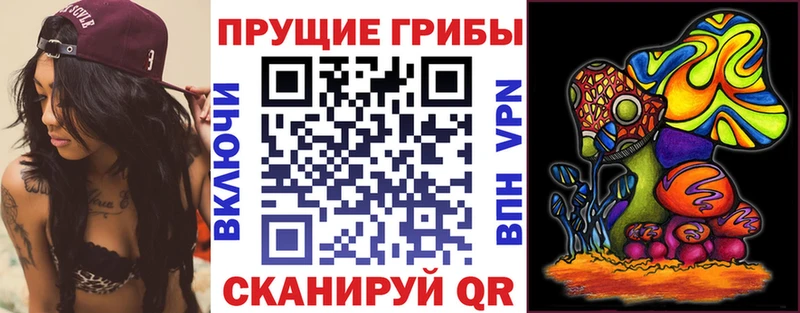 Псилоцибиновые грибы Cubensis  OMG сайт  Кунгур 