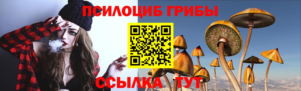 Псилоцибиновые грибы Magic Shrooms  Псилоцибиновые грибы ЛСД  Кунгур  Вход с VPN 